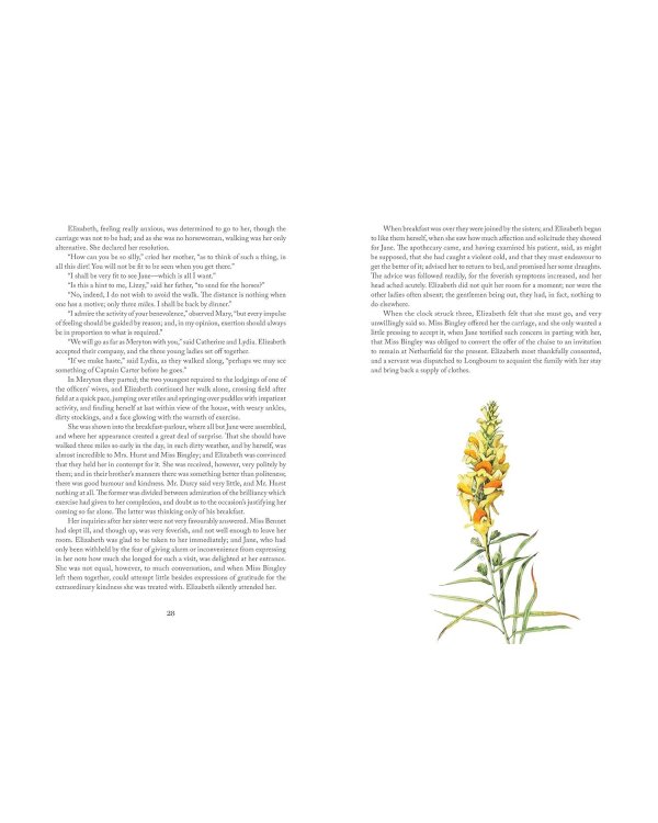 Pride and Prejudice: Illustr by Marjolein Bastin (Jane Austen) Гордость и предубеждение с илл М. Бастин (Джейн Остин)/ Книги на английском языке