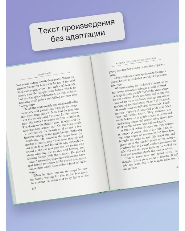 A Portrait of the Artist as a Young Man