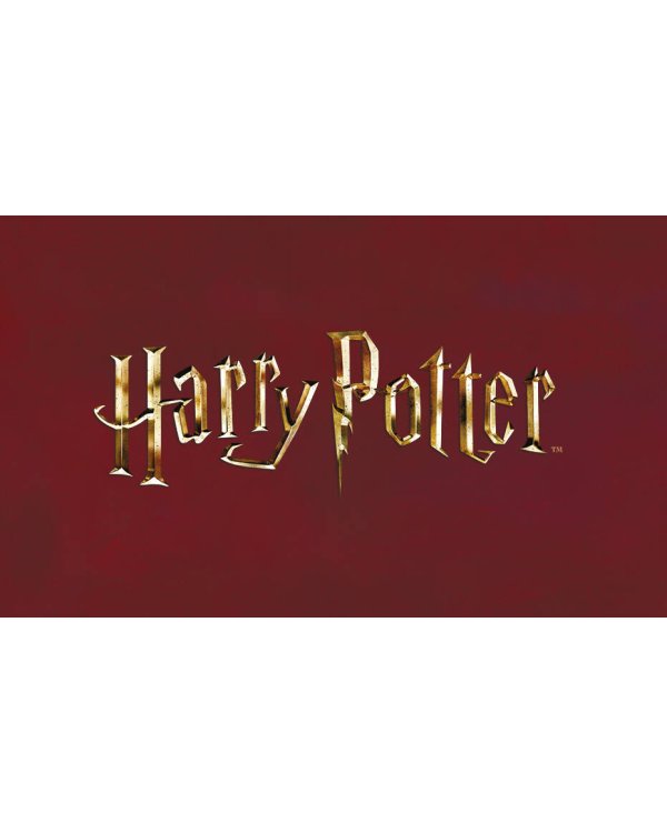 Кардхолдер. Платформа 9 и 3/4 (в форме книжки, 215х65 мм)