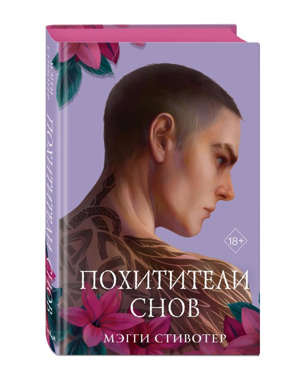 Вороновый круг. Похитители снов (#2) (подарочное оформление)