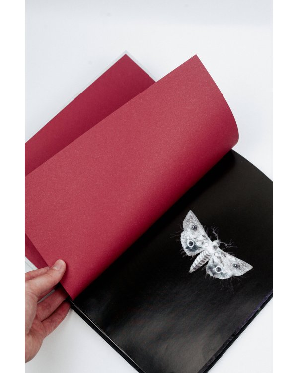 Спящие красавицы. Том 2