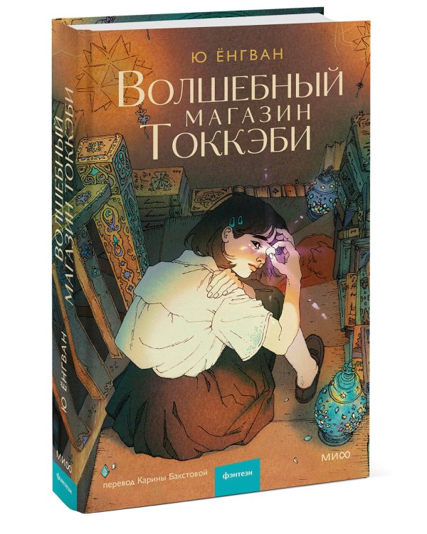 Волшебный магазин токкэби