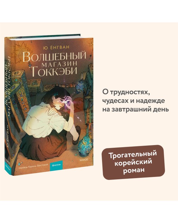 Волшебный магазин токкэби