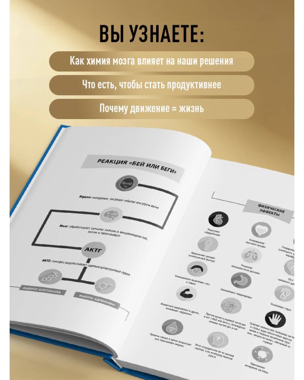 Полюби свой мозг. Быстрый способ преодолеть тревогу, стресс, гнев и начать полноценно жить
