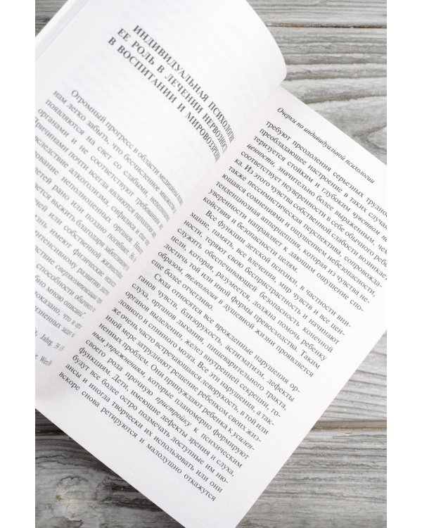 Очерки по индивидуальной психологии