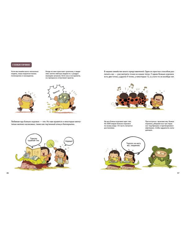 Паучий переполох!