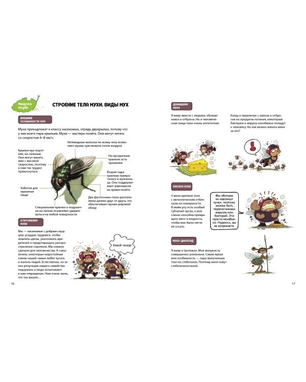 Паучий переполох!