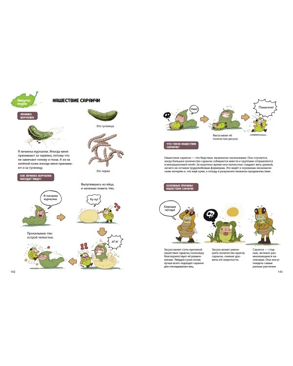 Паучий переполох!