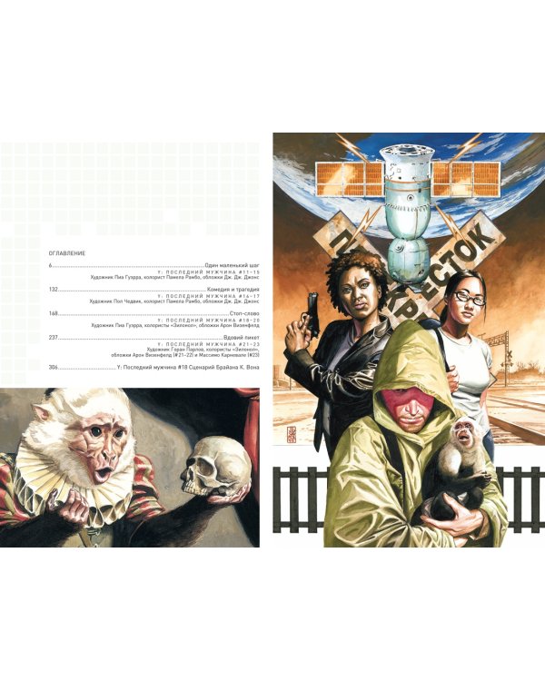 Y. Последний мужчина. Книга 2