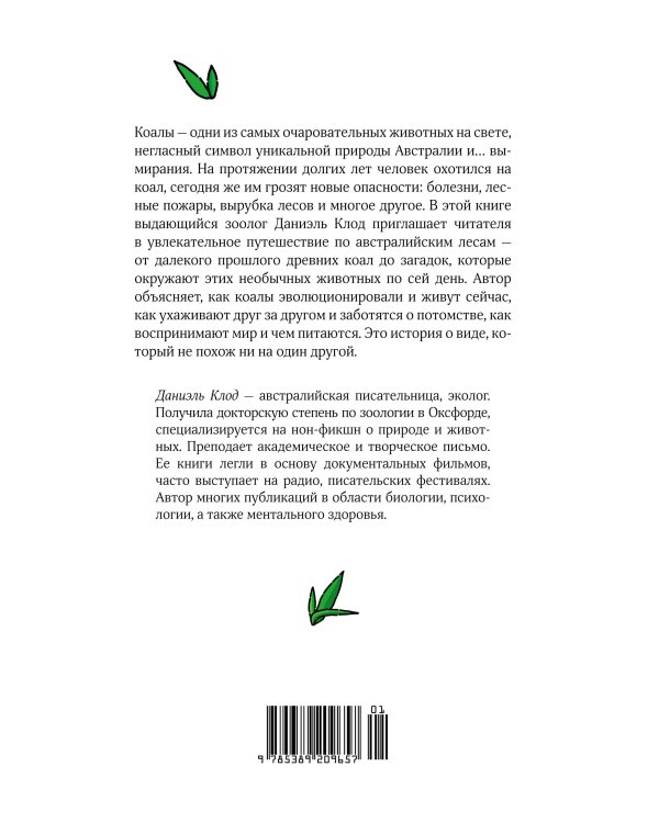 Хюгге от коал: Жизнь среди деревьев