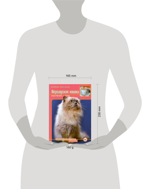 Персидская кошка