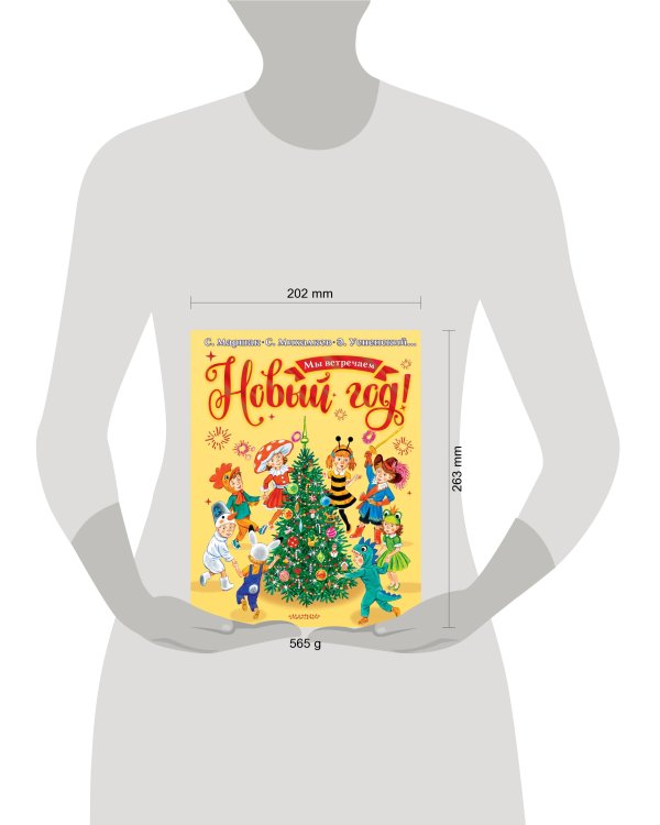 Мы встречаем Новый год!