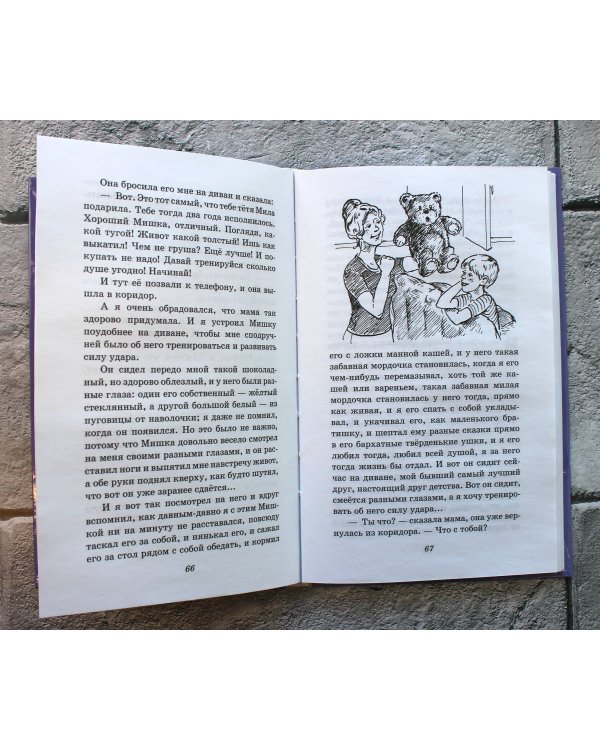 Профессор кислых щей. Рассказы (ил. А. Босина)