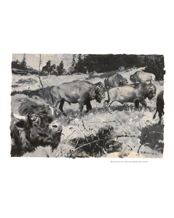 Виннету. Сын вождя