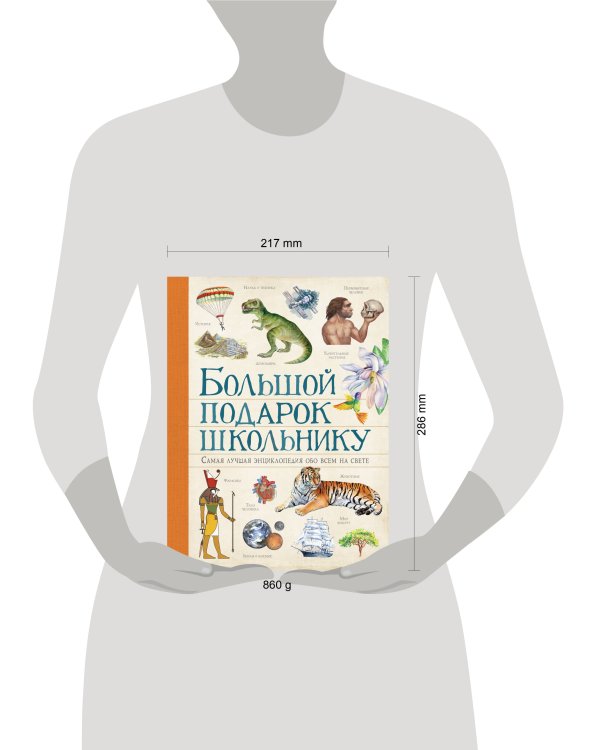 Большой подарок школьнику