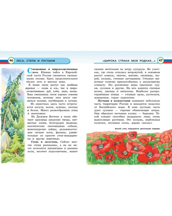 Моя Россия. Книга юного патриота