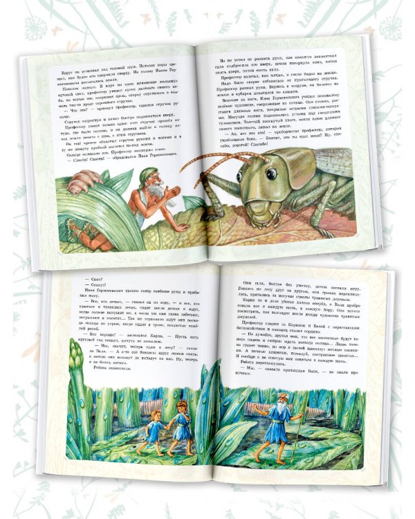 Необыкновенные приключения Карика и Вали