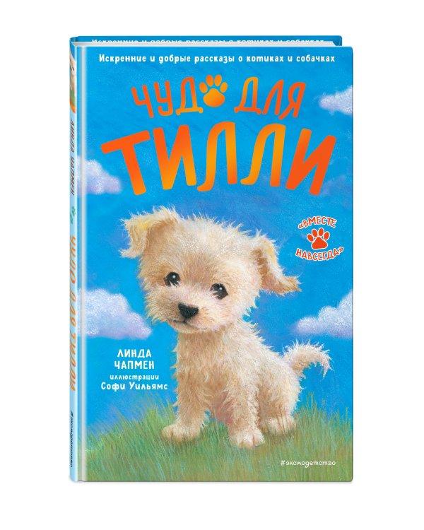 Чудо для Тилли (выпуск 1)