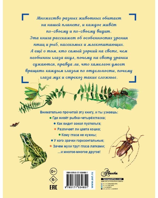 Сколько глаз у стрекозы?