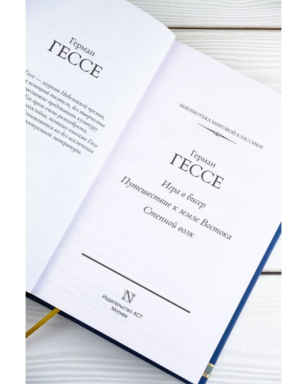 Игра в бисер. Путешествие к земле Востока. Степной волк