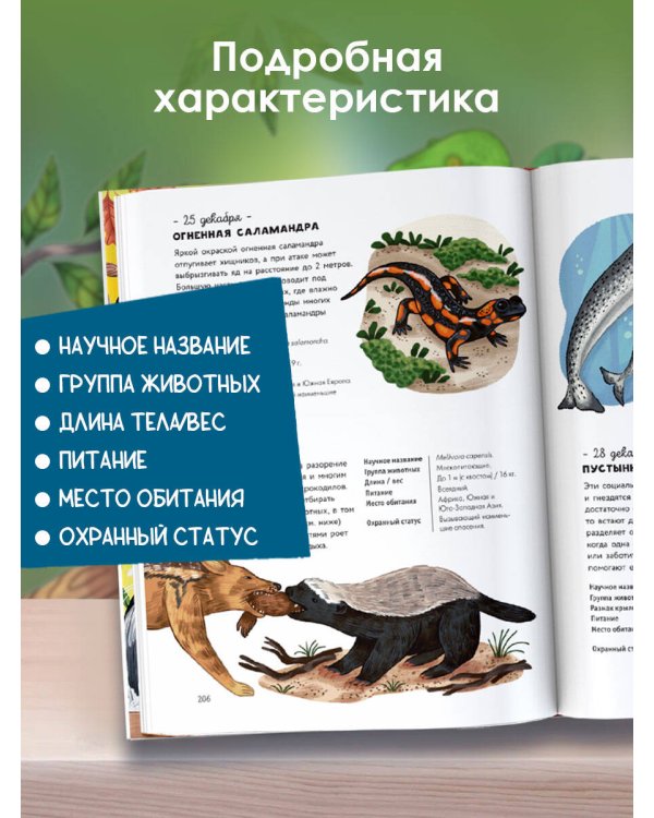 Животные каждый день. Большая энциклопедия