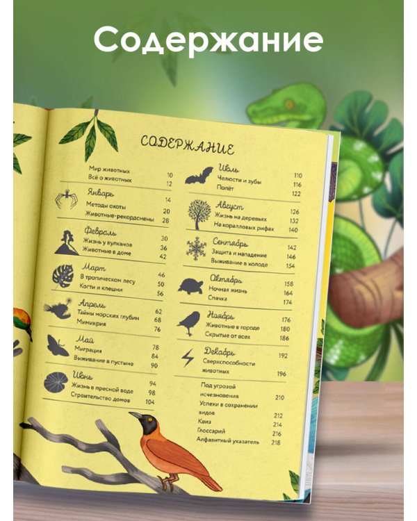Животные каждый день. Большая энциклопедия