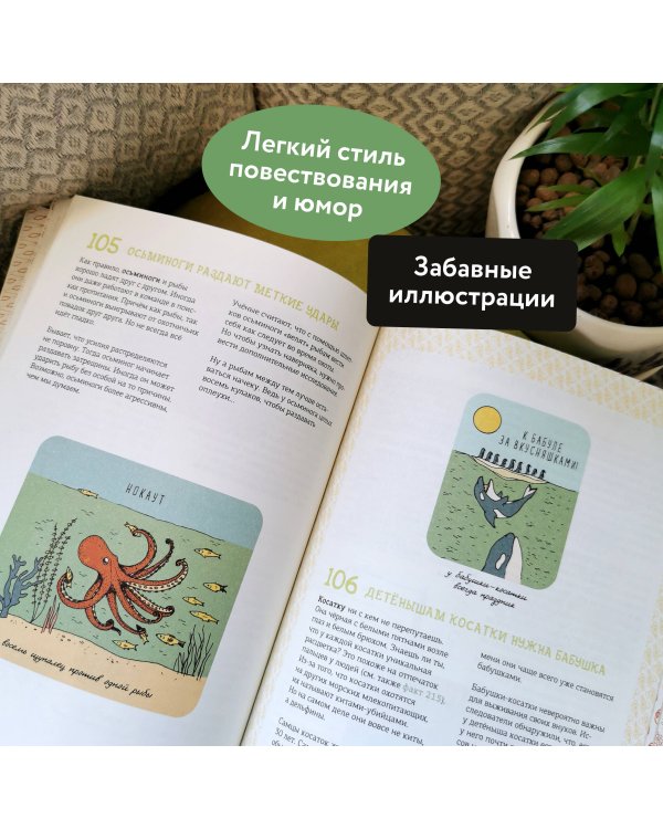 Могут ли числа быть вампирами? И ещё 320 вопросов о науке и технологиях