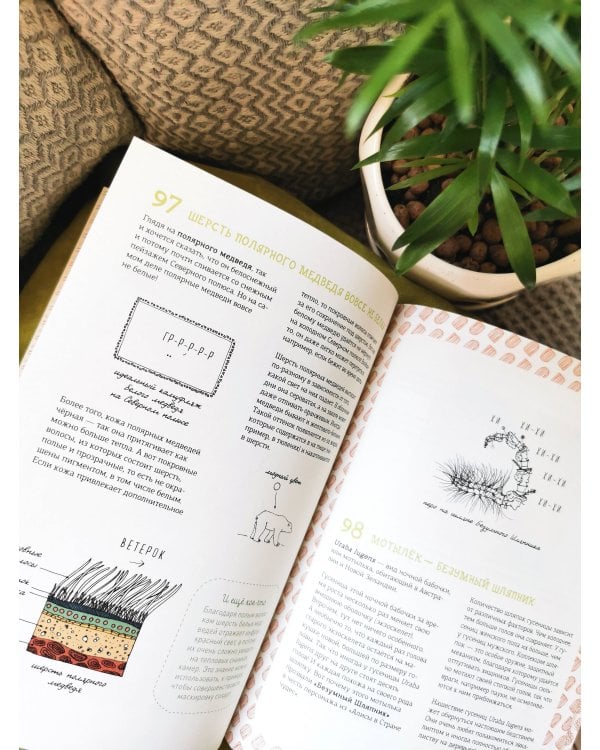 Могут ли числа быть вампирами? И ещё 320 вопросов о науке и технологиях