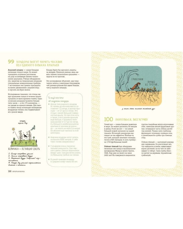 Могут ли числа быть вампирами? И ещё 320 вопросов о науке и технологиях