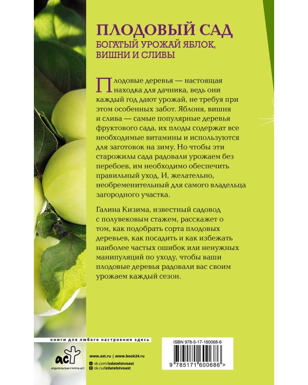 Плодовый сад. Богатый урожай яблок, вишни и сливы