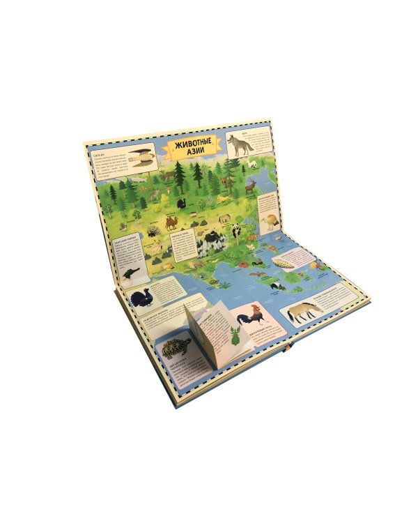 Животные. Интерактивный детский атлас с откидными разворотами