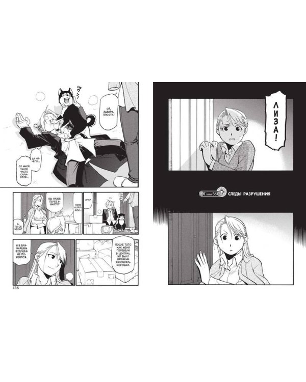 Стальной Алхимик. Кн. 10