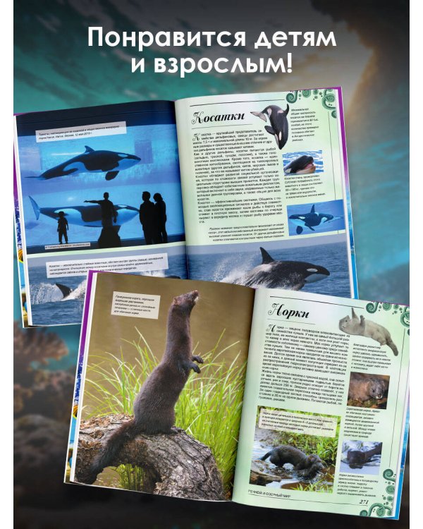 Большая книга о подводном мире. 1001 фотография