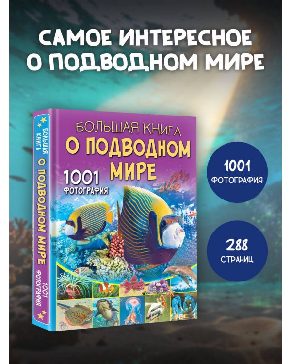 Большая книга о подводном мире. 1001 фотография