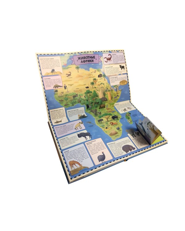 Животные. Интерактивный детский атлас с откидными разворотами
