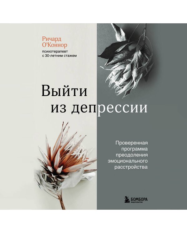 Выйти из депрессии. Проверенная программа преодоления эмоционального расстройства