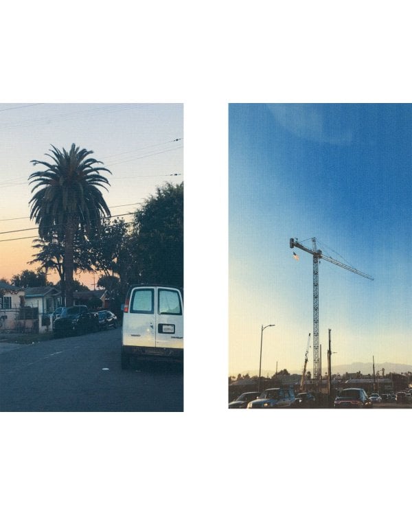 Вайолет, склонившаяся над травою