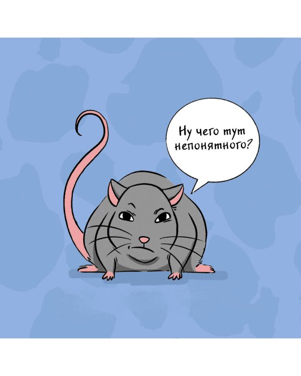 Чего окрысилась?! Как понимать своего питомца