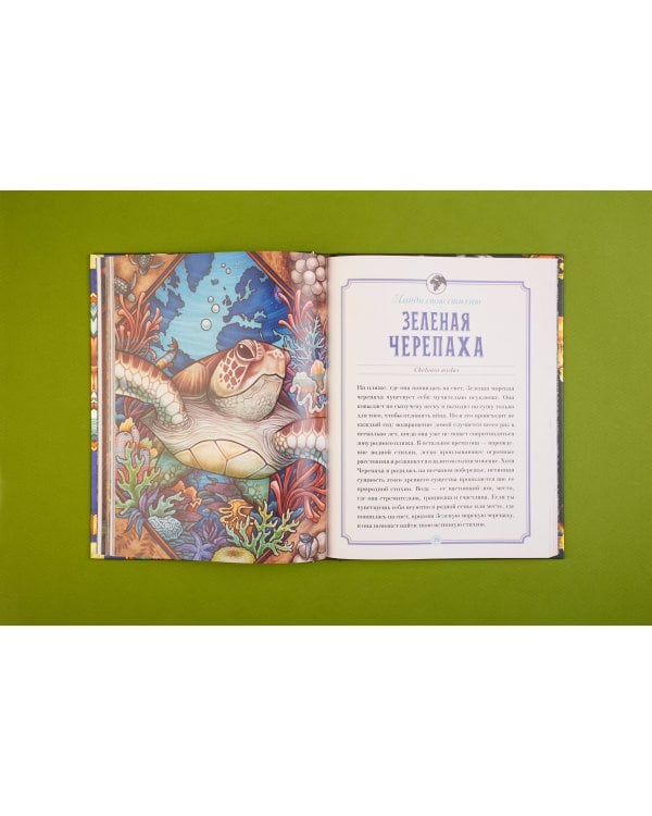 Магический бестиарий. Вдохновляющие послания и ритуалы от 36 волшебных животных 36 карт и книга