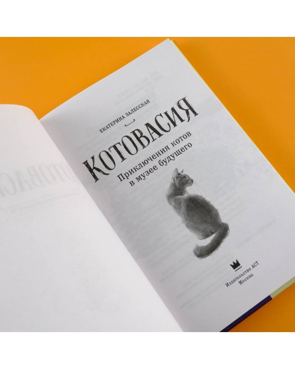 Котовасия. Приключения котов в музее будущего