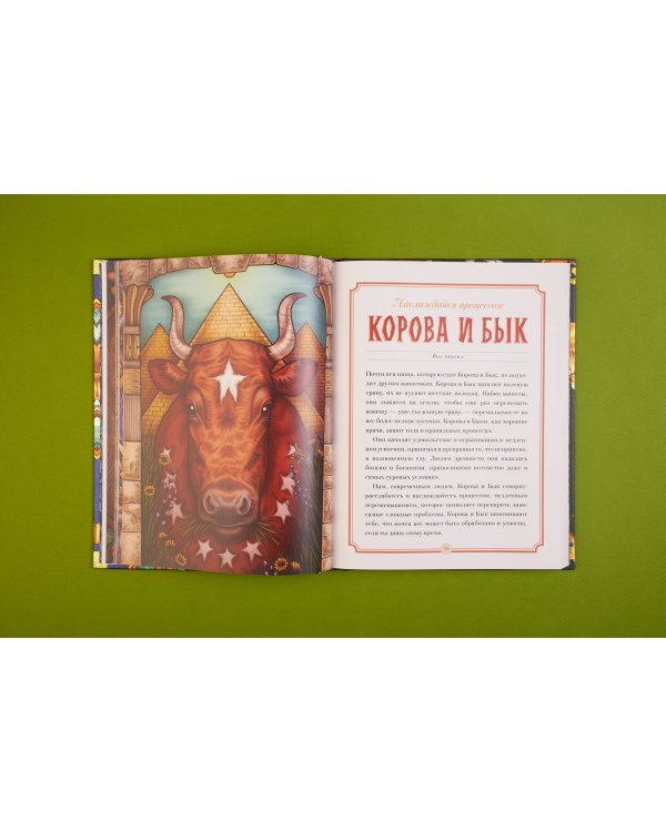 Магический бестиарий. Вдохновляющие послания и ритуалы от 36 волшебных животных 36 карт и книга