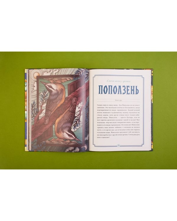 Магический бестиарий. Вдохновляющие послания и ритуалы от 36 волшебных животных 36 карт и книга