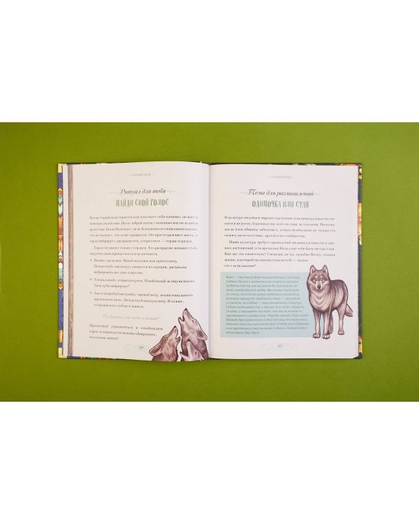 Магический бестиарий. Вдохновляющие послания и ритуалы от 36 волшебных животных 36 карт и книга