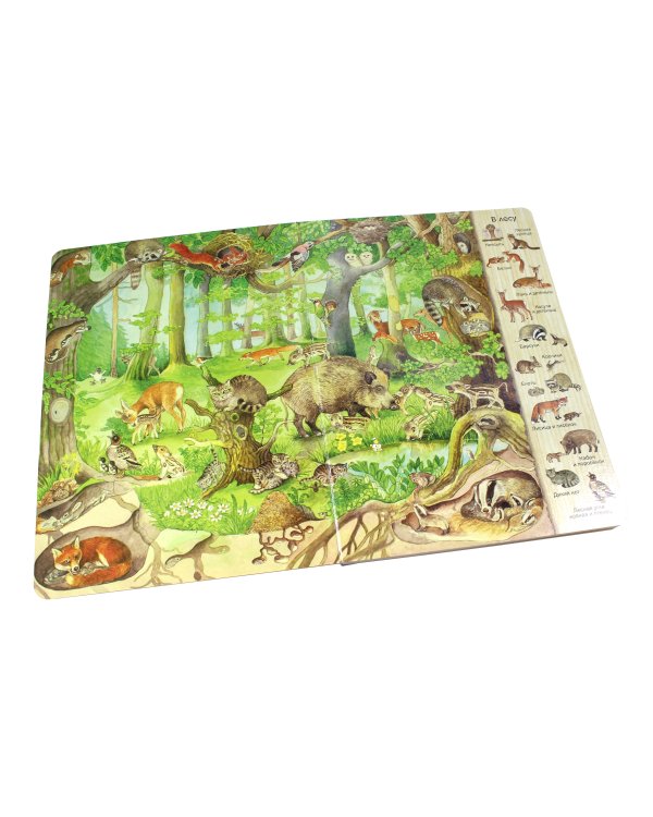 Животные и их детеныши (ил. К. Хенкель)