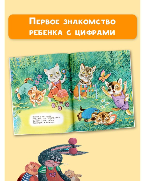 Весёлый счёт в стихах и картинках