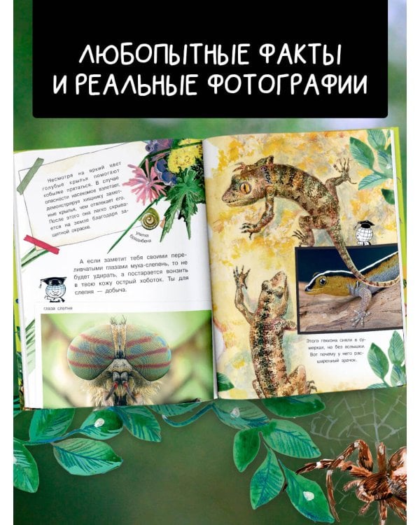 Кто как видит?