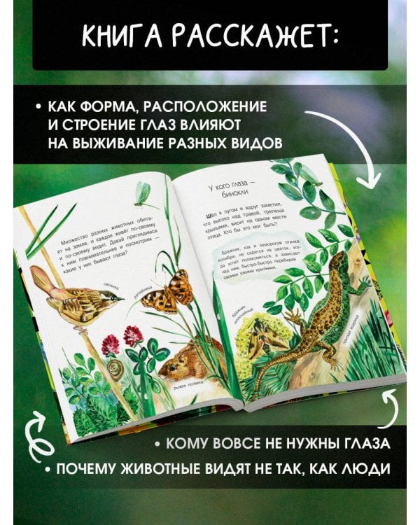 Кто как видит?