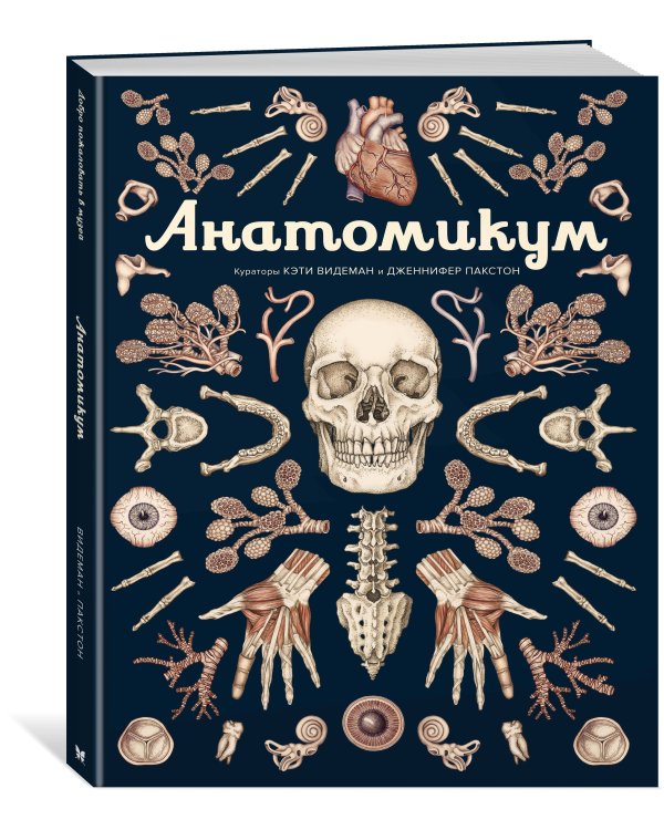 Анатомикум