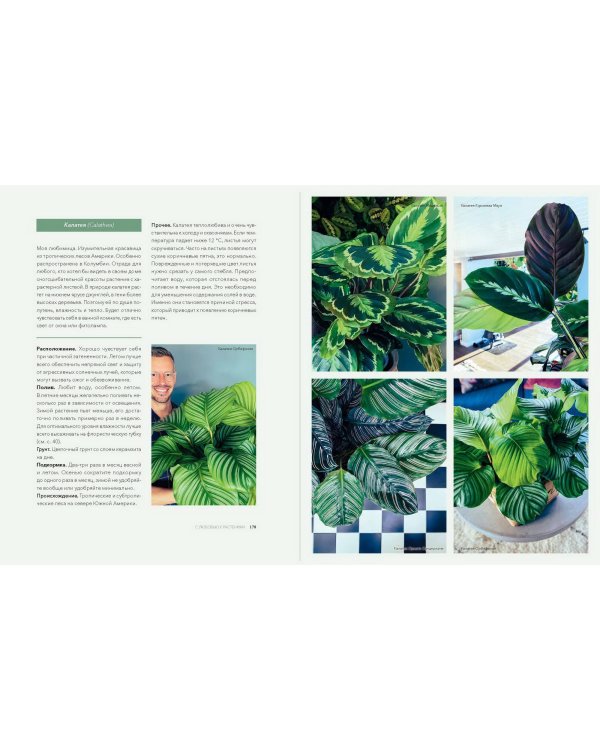 С любовью к растениям. Как обустроить зеленый оазис у себя дома