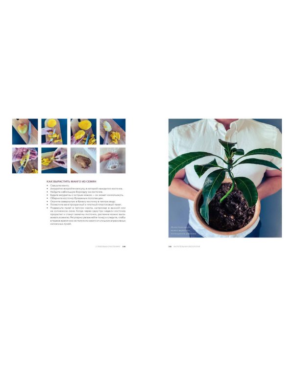 С любовью к растениям. Как обустроить зеленый оазис у себя дома